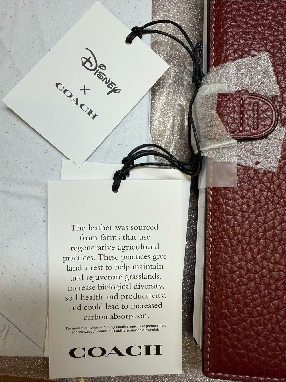 Coach x Disney Minnie Mouse Leather Notebook Cover - Picture 3 of 7